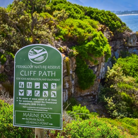 6-Hour Fernkloof Nature Reserve Hike in Hermanus with Peak Views