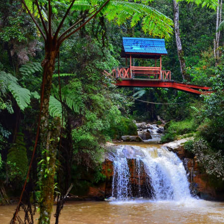 1-Day Cameron Highlands Tour from Kuala Lumpur with Batu Caves