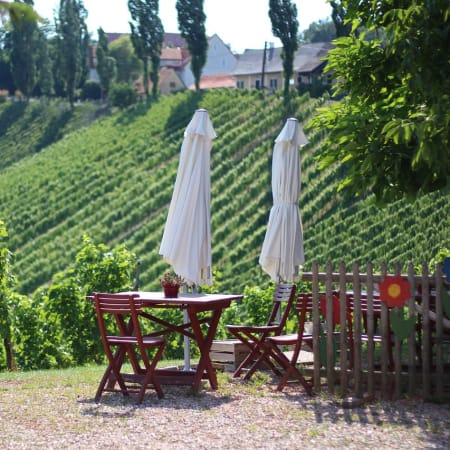 4-Hour Etyek Wine Tour from Budapest with 2 Boutique Wineries