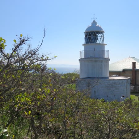 5-Hour Tomogashima Island Fortress Walk with a Licensed Local Guide