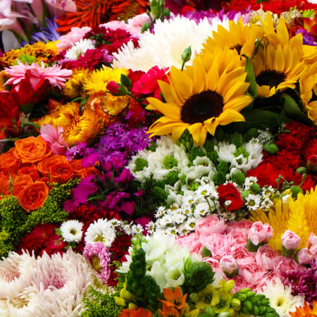 4-Day Medellín and Guatapé Tour with Silletera Farm and El Peñol