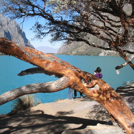 Full-Day Llanganuco Lakes Tour from Huaraz through Huascarán Park