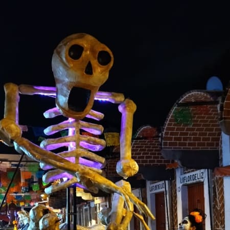 4-Hour Puebla Day of the Dead Tour through the Ofrendas Corridor