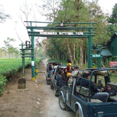 2-Day Gorumara Wildlife and Cultural Tour with Eco Village Stay
