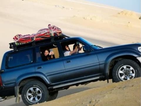 Full-Day Fayoum Desert Tour from Cairo with Wadi Hitan and Sandboarding
