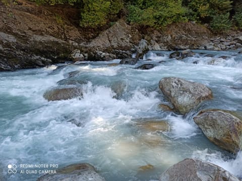 6-Day Manali and Kullu Tour from Delhi with Solang Valley