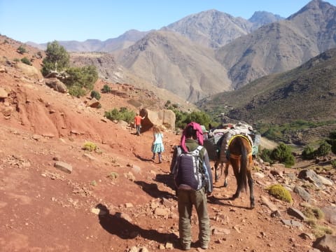 1-Day Hike Through Toubkal National Park with Berber Villages