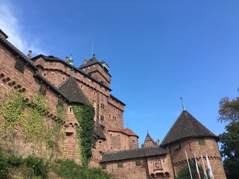 9-Hour Alsace Wine Route Tour with Colmar and Haut Koenigsbourg