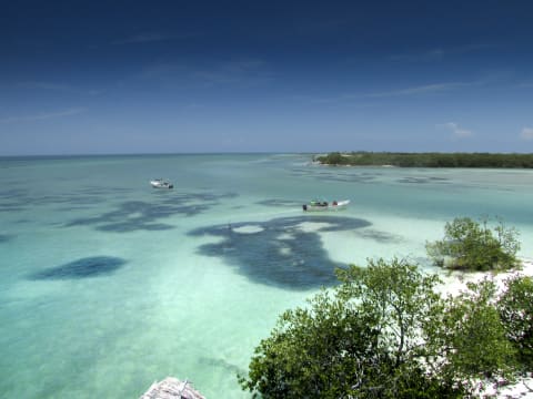 12-Hour Isla Holbox Boat Tour from Cancun with Cenote Yalahau