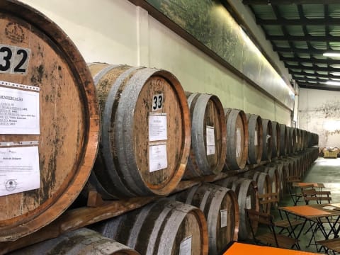 8-Hour Wine Tour of Pico Island with UNESCO Vineyard Heritage