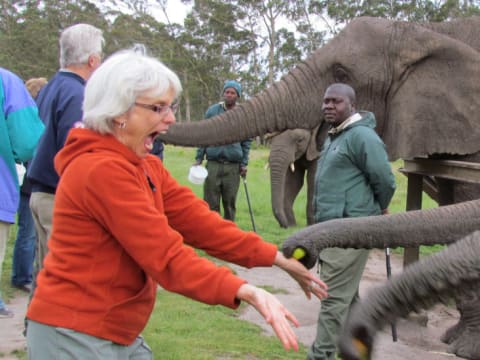 6-Day Garden Route Adventure Tour from Cape Town to Port Elizabeth