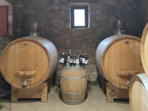 5-Hour Chianti Wine Tour from Florence with Greve and Poggio Amorelli