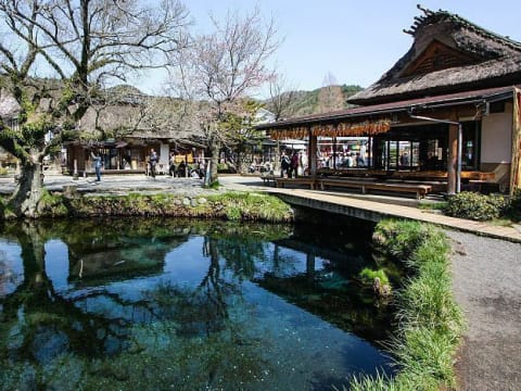 1-Day Mount Fuji Tour from Tokyo with Oshino Hakkai and Kawaguchiko