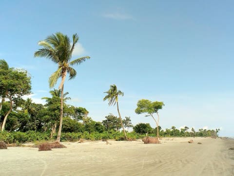 2-Day Ujung Kulon Tour from Carita Beach with Peucang Island Stay