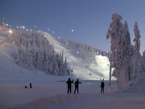 3-Hour Husky Sledge Ride in Kuusamo and Rukatunturi