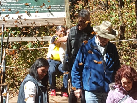 3-Day Michoacán Heritage and Butterfly Tour from Zihuatanejo