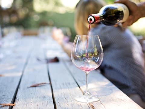 6-Hour Cape Winelands Private Tour with Family-Friendly Tastings