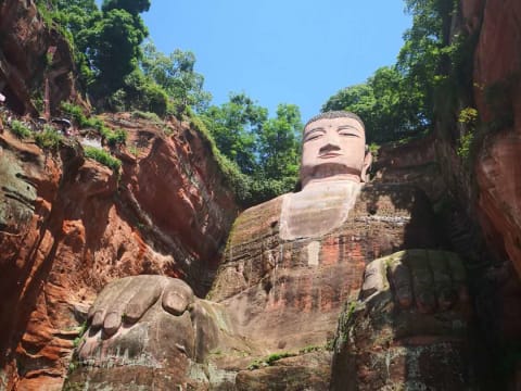 1-Day Panda and Leshan Giant Buddha Tour from Chengdu