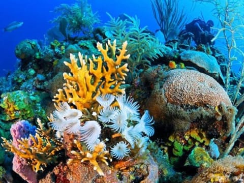 5-Hour Dahab Snorkelling Tour to Three Pools with Beach Lunch