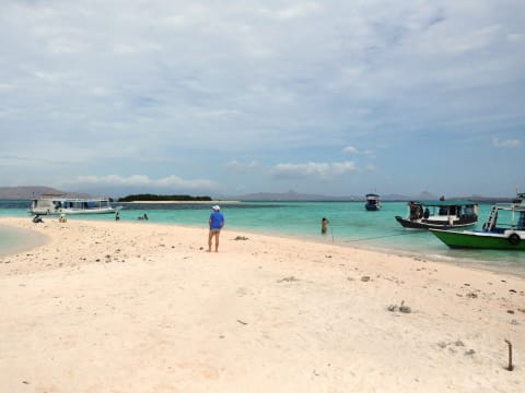 10-Hour Padar, Rinca and Manta Point Tour with Komodo Dragons
