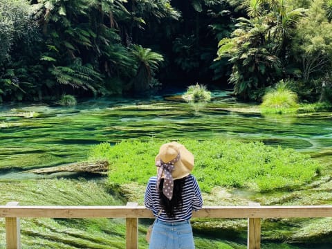 12-Hour Private Hobbiton and Waitomo Caves Tour from Auckland