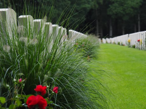 Full-Day Arnhem Battlefield Tour from Amsterdam with John Frost Bridge