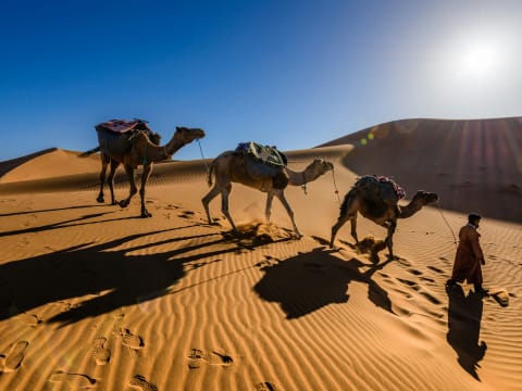 5-Day Sahara Desert Tour from Marrakech with Erg Chebbi Camp
