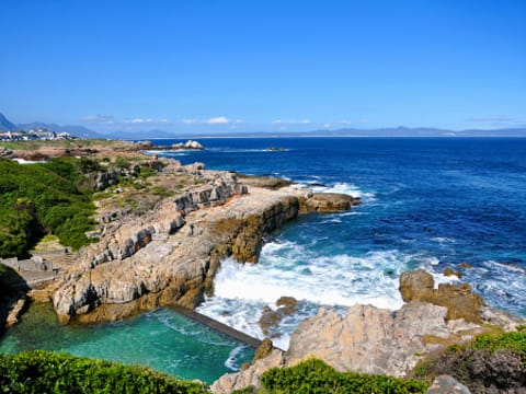 Full-Day Hermanus Whale Watching Tour with Gelato Tasting