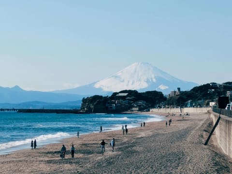 8-Hour Enoshima and Shonan Coast Tour from Tokyo with Flex Time