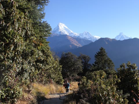 9-Day Ghorepani Poon Hill Trek through Gurung Villages