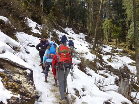 6-Day Kedarkantha Peak Trek from Dehradun with Summit Temple Visit