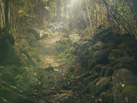 5-Day Jungle Trek to Renah Kemumu from Sungai Penuh with Hot Springs