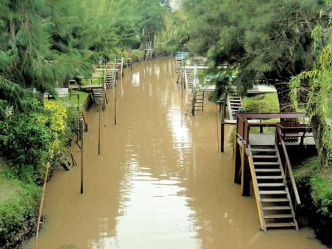 4-Hour Tigre Delta Tour from Buenos Aires with 45-Minute Cruise