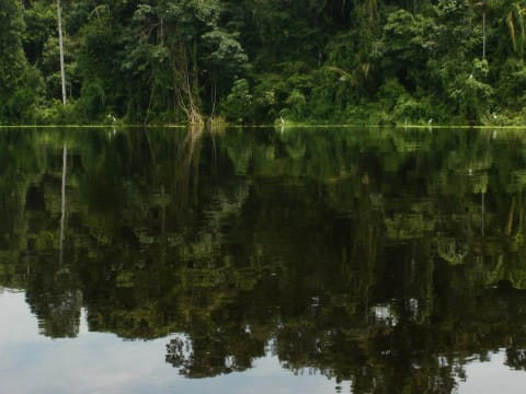 4-Day Pacaya Samiria National Reserve Tour from Iquitos