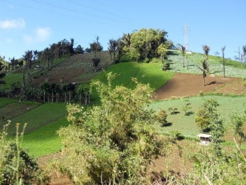 3-Day Bunaken and Manado Tour with Tomohon and Mount Mahawu