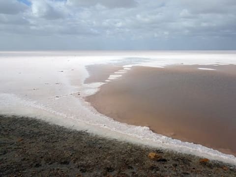 3-Day Bhuj and White Rann Tour with Kutch Handicraft Villages