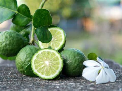 7-Hour Reggio Calabria Tour with Riace Bronzes and Bergamot Tasting