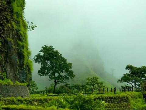 2-Day Shrivardhan Fort Trek in Rajmachi with Night Trek and Rappelling