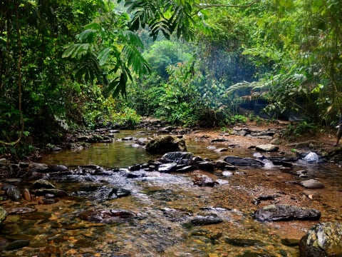 2-Day Bukit Lawang Jungle Trek with Camping and Bahorok Rafting