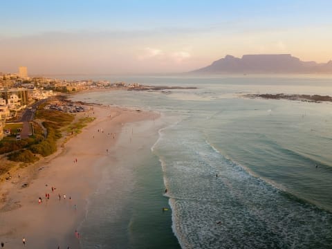 Full-Day Cape Peninsula and West Coast Wildlife Shore Excursion