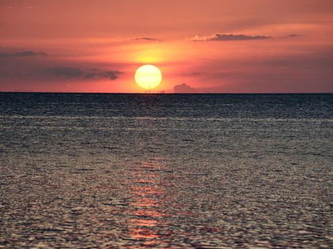 8-Day Sandakan Wildlife Tour with Lankayan Diving and Kinabatangan