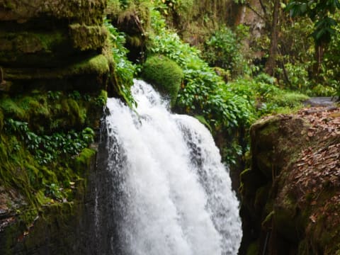 6-Hour Cave and Waterfalls Tour in Presidente Figueiredo