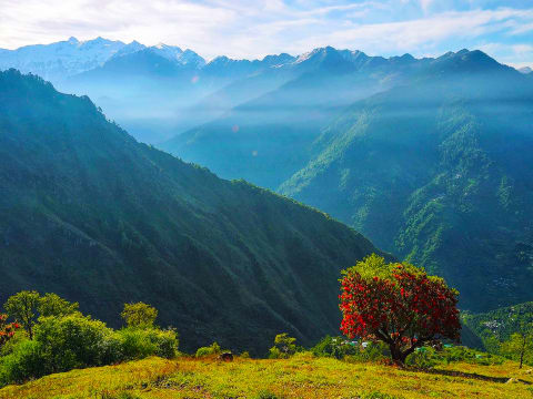 2-Day Rangthar Trek in Great Himalayan National Park with Camping