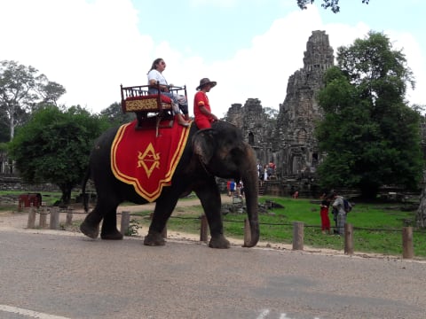 7-Day Cambodia Highlights Tour with Angkor, Battambang and Phnom Penh