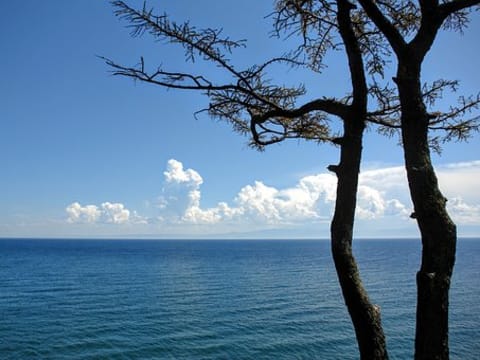 7-Hour Lake Baykal and Listvyanka Tour with Taltsy Museum