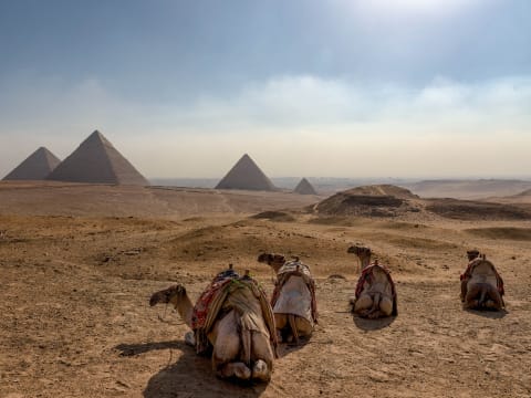 1-Day Giza Pyramids Tour with Sakkara and Ancient Memphis