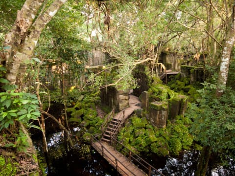 1-Day Beng Melea Biking Tour through Cambodia's Countryside