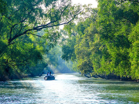 Full-Day Sundarbans Wildlife Tour from Kolkata with Forest Safari