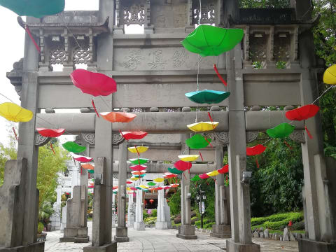 1-Day Shenzhen Traditional Shows Tour with 3 Famous Performances