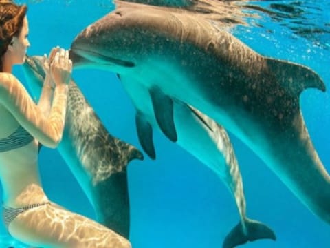 7-Day Marsa Alam Adventure Tour with Desert Safari and Snorkelling